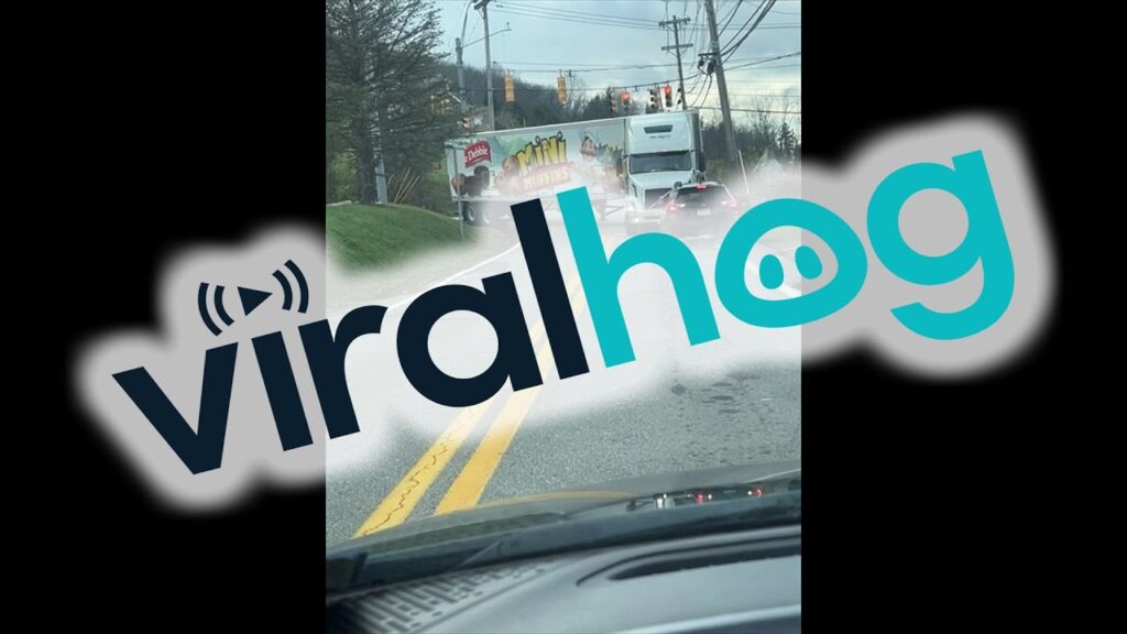 Door-to-Door Private Driver Services for South Florida Residents