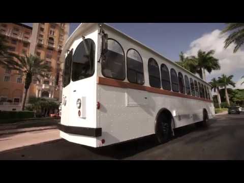 Professional Driver Services for Miami Wedding Events